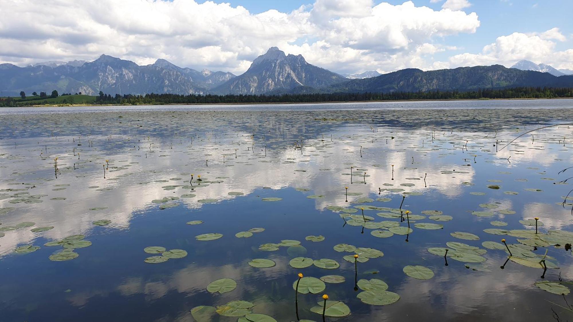 Landhaus Amberg Hopfen Am See // Hopfensee // Fuessen Exteriér fotografie